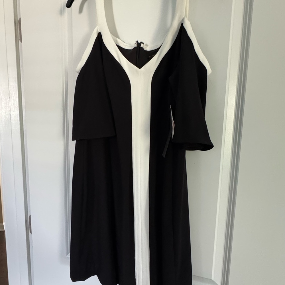 Cynthia Steffe Black and White Cocktail Sundress